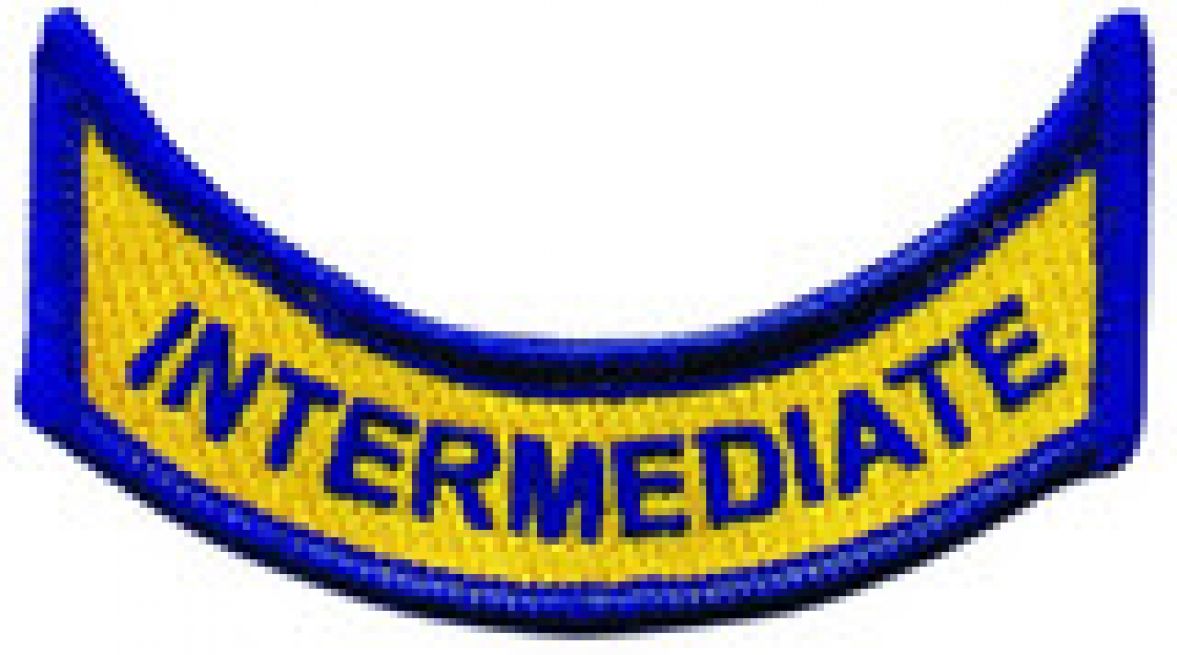 VIRGINIA INTERMEDIATE SHOULDER TAB - SEW ON.